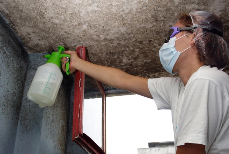 How to Get Rid of Mould and Mildew in Your House