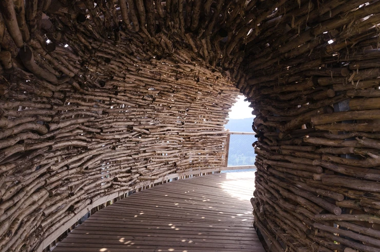 The Role of Bamboo In The World Of Art and Construction
